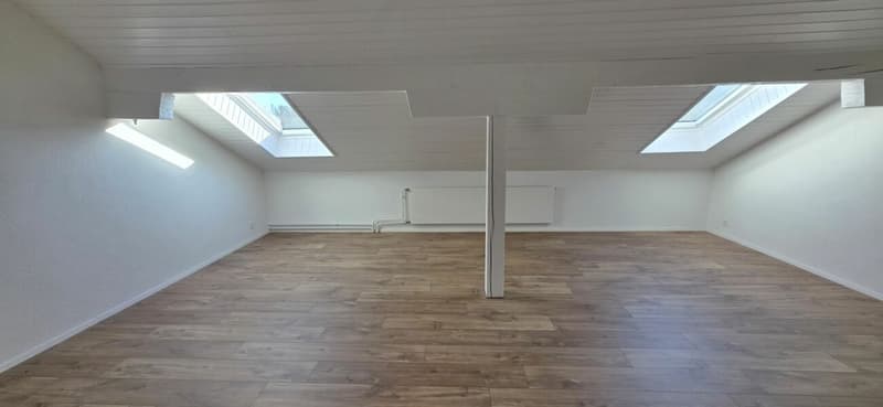 Superbe appartement lumineux rénové de 2,5 pièces à Montet (4)