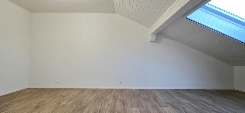 Superbe appartement lumineux rénové de 2,5 pièces à Montet (7)