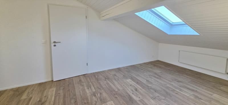 Superbe appartement lumineux rénové de 2,5 pièces à Montet (5)