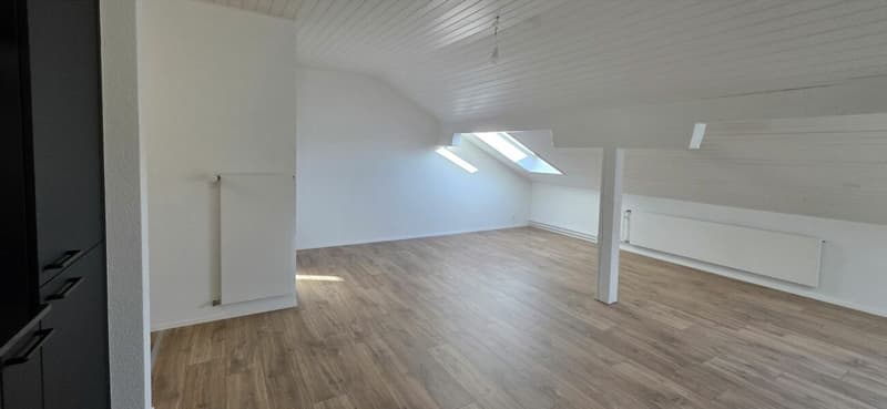 Superbe appartement lumineux rénové de 2,5 pièces à Montet (2)