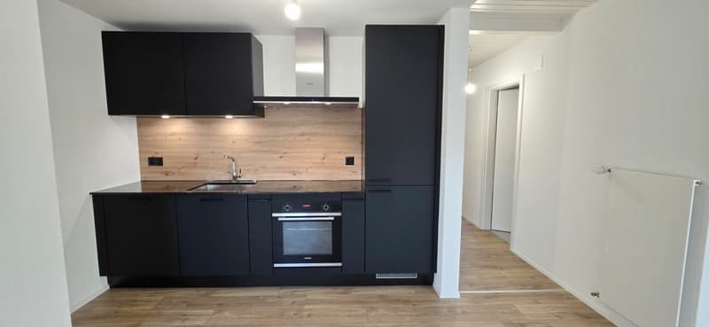 Superbe appartement lumineux rénové de 2,5 pièces à Montet (3)