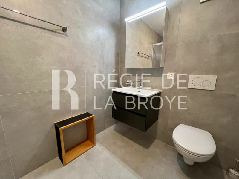 Appartement de 3.5 pièces à Dompierre FR (10)