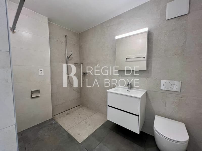 Appartement neuf de 2.5 pièces à Léchelles (6)