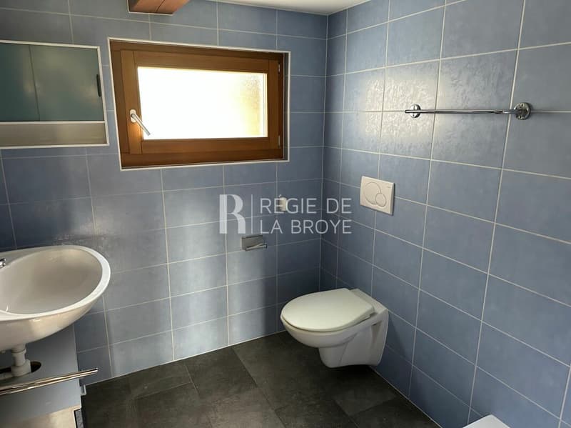 Chalet de 4.5 pièces à Cheyres (15)