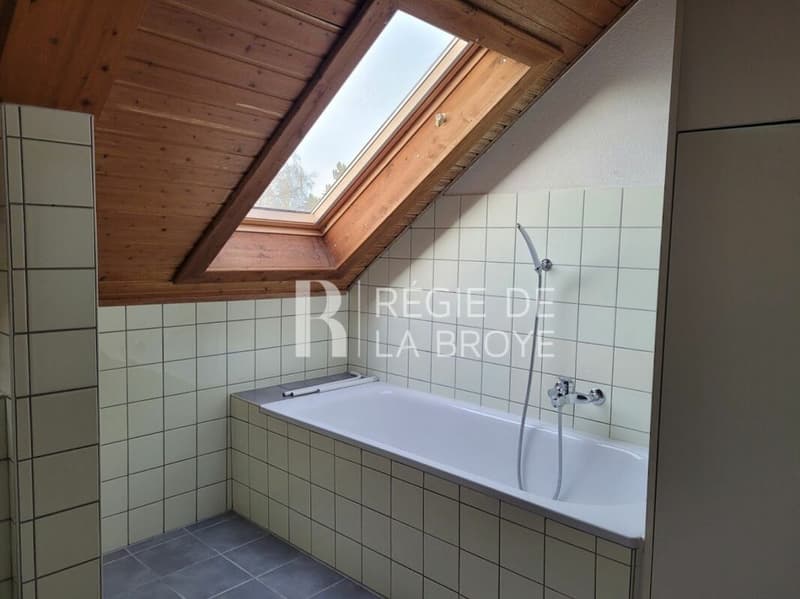 Appartement de 3 pièces à Domdidier (12)