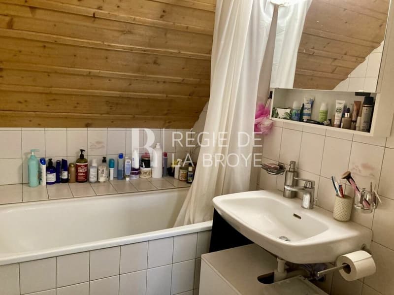 Appartement meublé de 2.5 pièces à Estavayer-le-Lac (7)
