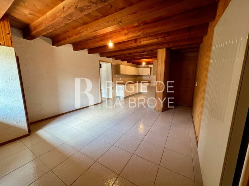 Appartement de 2.5 pièces à Montet (Broye) (3)