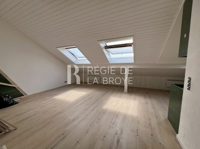 Appartement rénové de 2.5 pièces à Murist (4)