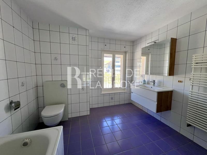 Appartement de 4.5 pièces à Champtauroz (13)