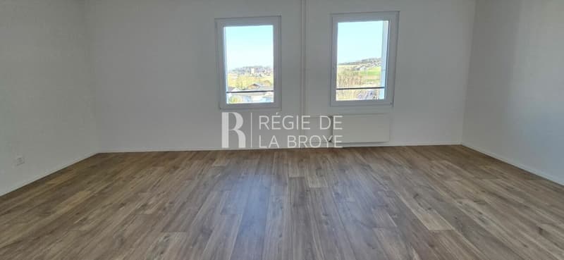 Magnifique appartement rénové de 4,5 pièces avec balcon à Montet (7)