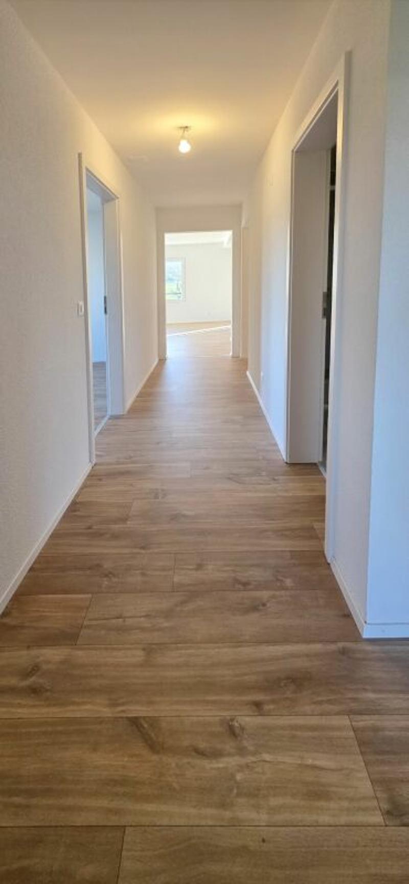 Magnifique appartement rénové de 4,5 pièces avec balcon à Montet (8)
