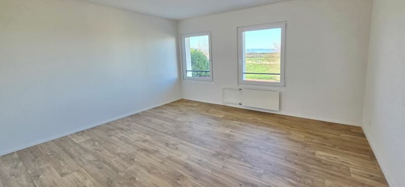 Magnifique appartement rénové de 4,5 pièces avec balcon à Montet (5)