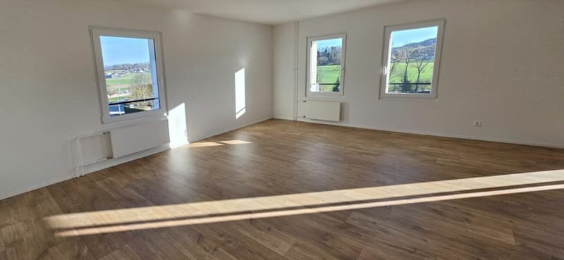Magnifique appartement rénové de 4,5 pièces avec balcon à Montet (3)