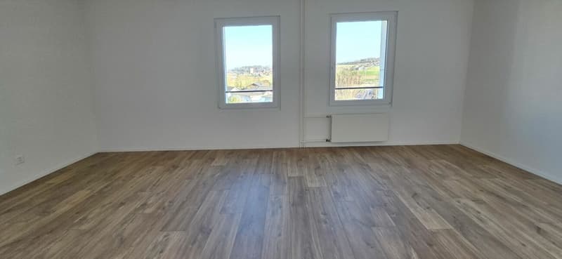 Magnifique appartement rénové de 4,5 pièces avec balcon à Montet (7)