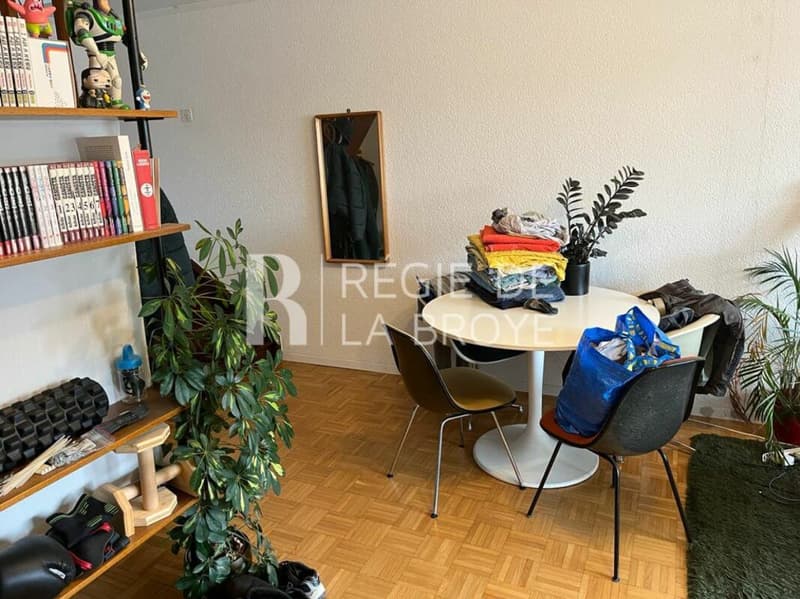 Appartement de 1.5 pièces à Estavayer-le-Lac (3)