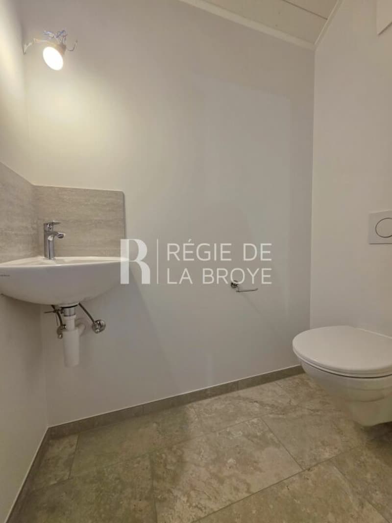 Spacieux 3,5 pièces dans les combles (11)