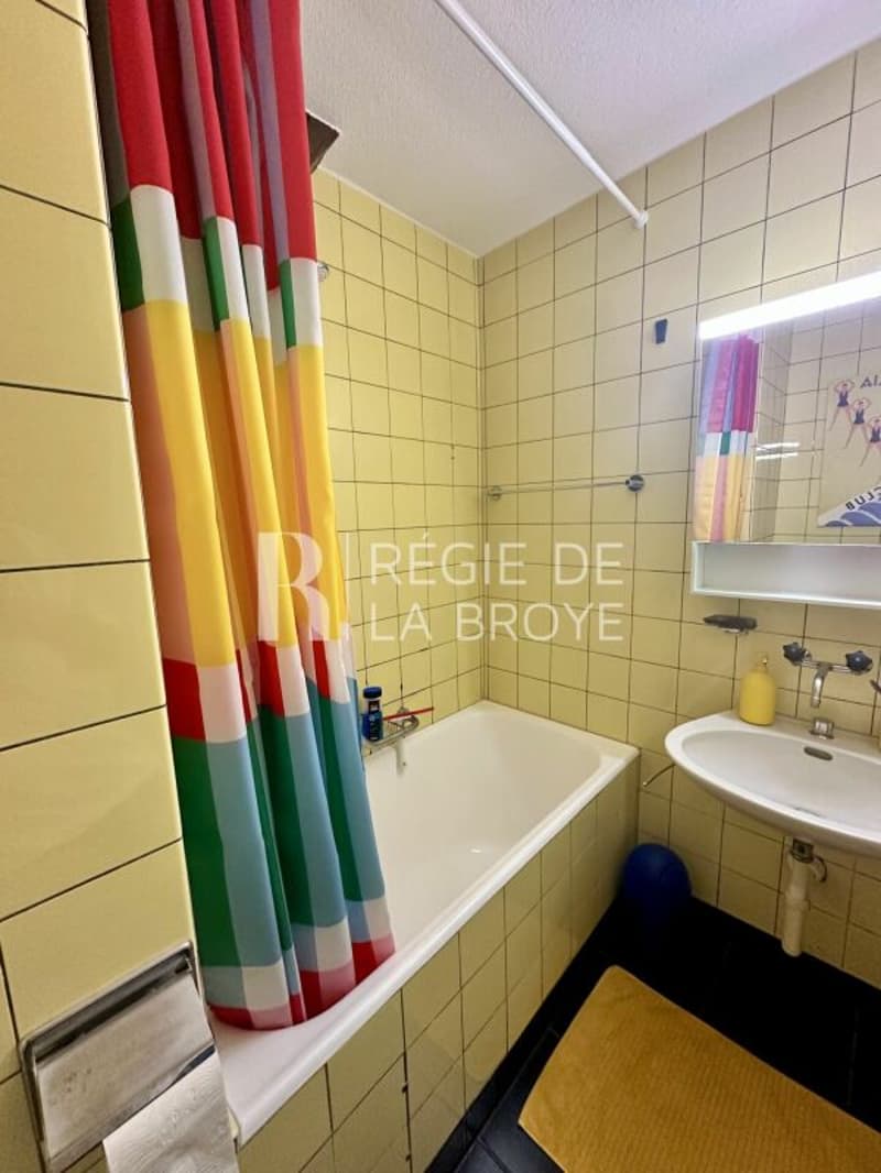 Appartement de 1.5 pièces à Estavayer-le-Lac (4)