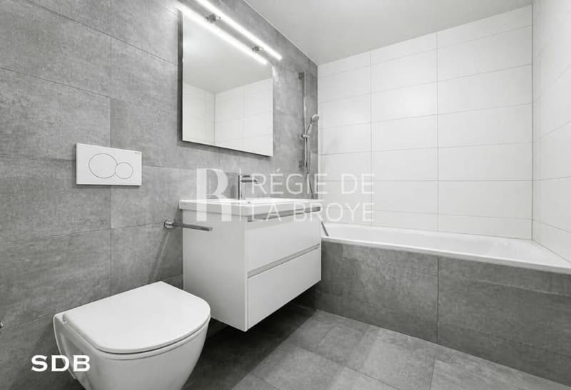 Grand 4.5 pièces rénové de 101 m² - 3 chambres et 2 salles d'eau - Montet (14)