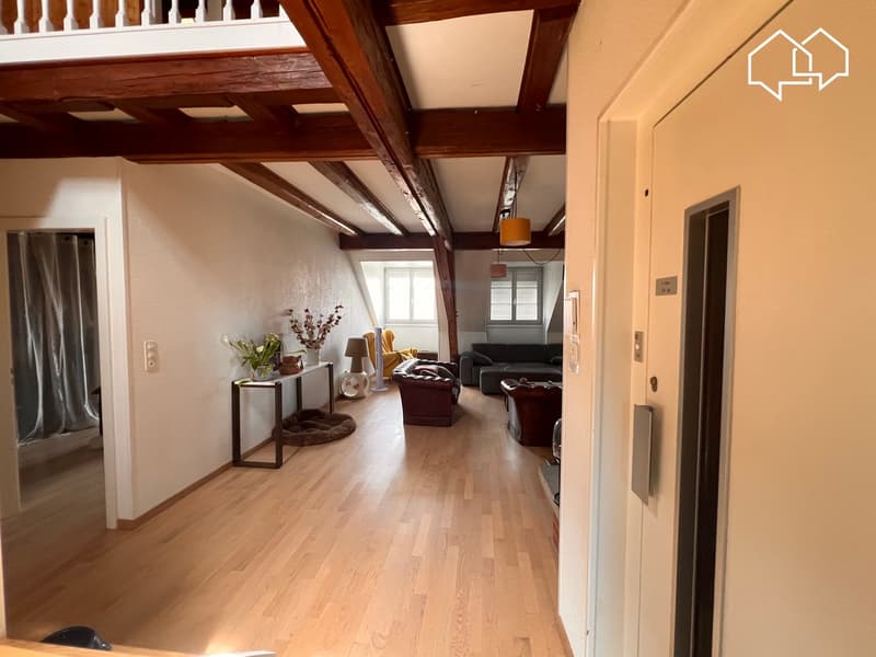 Spacieux appartement dans les combles avec terrasse (10)