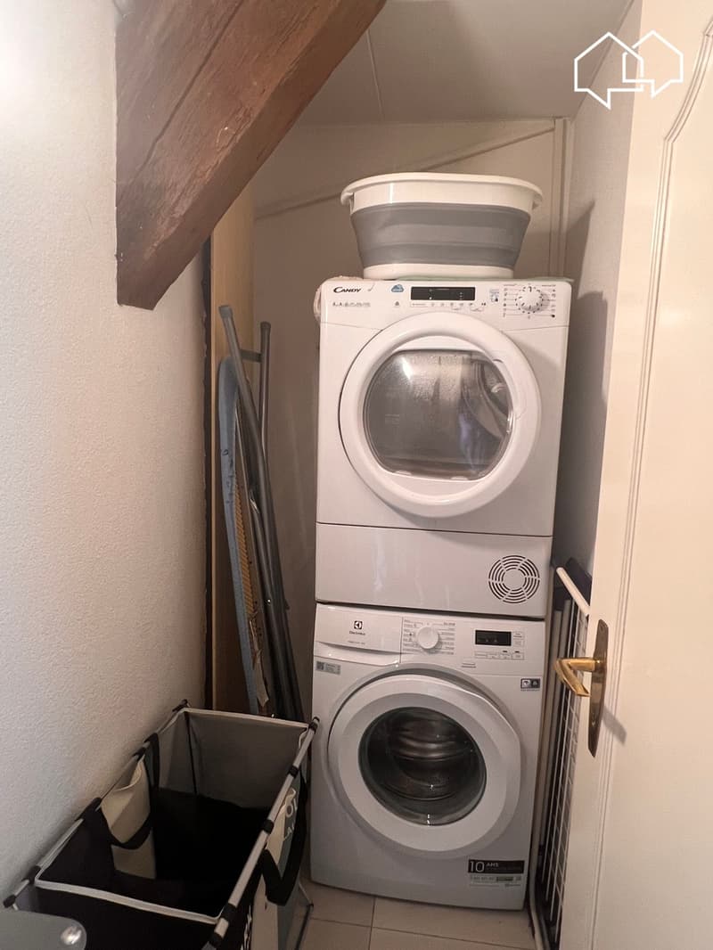 Spacieux appartement dans les combles avec terrasse (7)