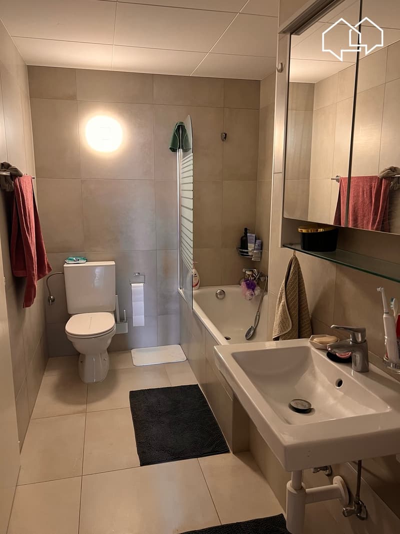 Spacieux appartement dans les combles avec terrasse (6)