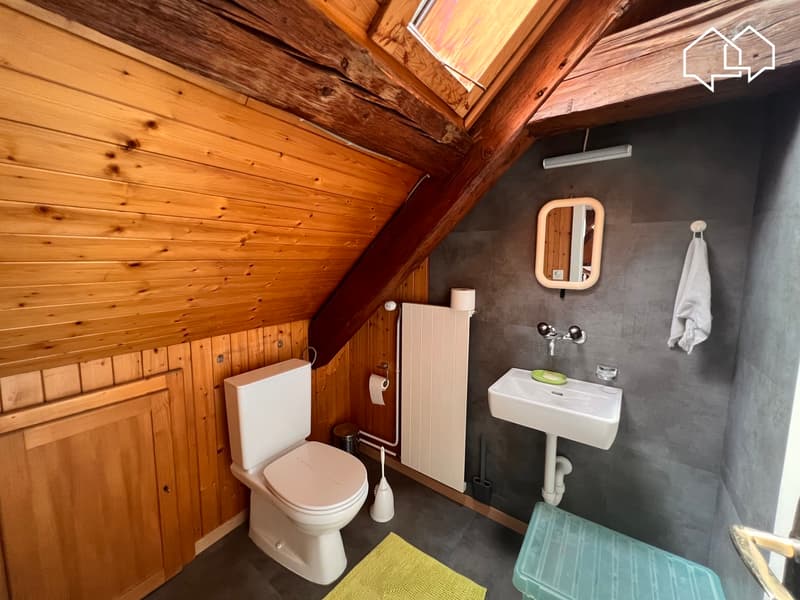 Spacieux appartement dans les combles avec terrasse (13)