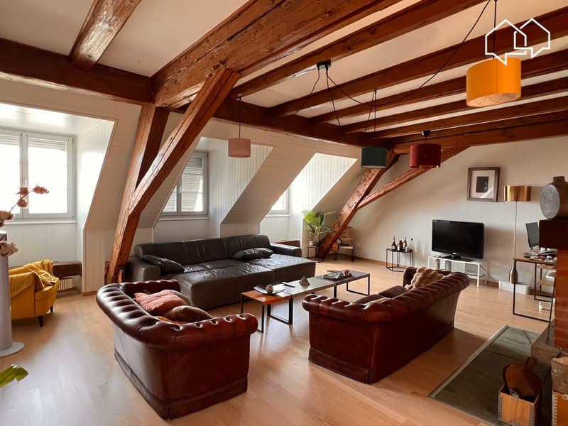 Spacieux appartement dans les combles avec terrasse (1)