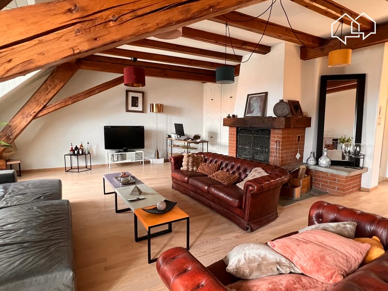 Spacieux appartement dans les combles avec terrasse (2)