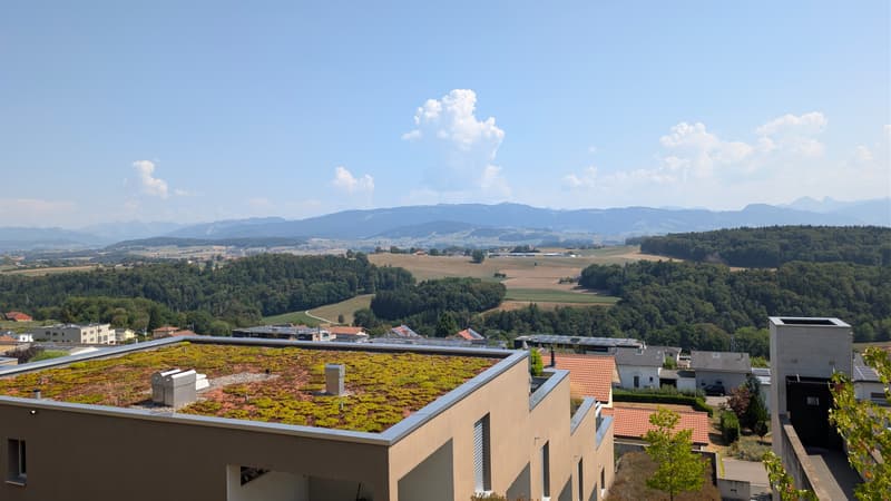 Le Balkon (13)