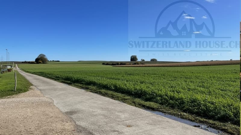 Splendides villas individuelles proche lac et commodités à Gletterens (8)