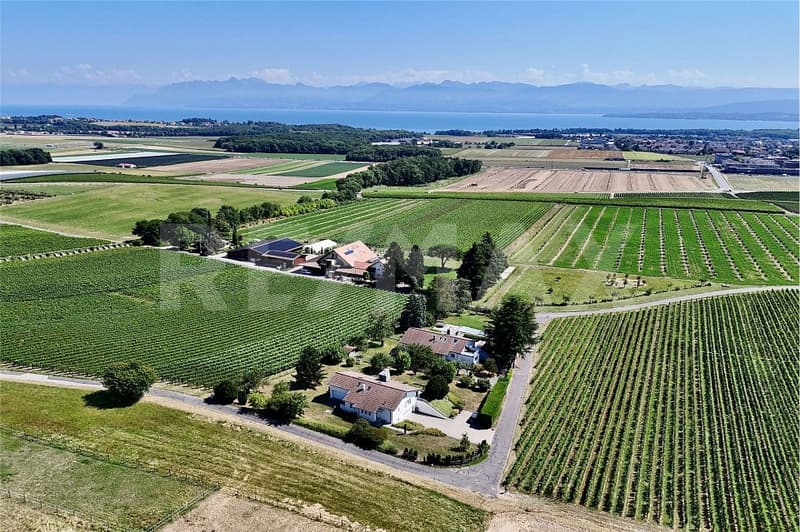Entre Genève et Morges: villa familiale avec vue panoramique sur le Mont-Blanc