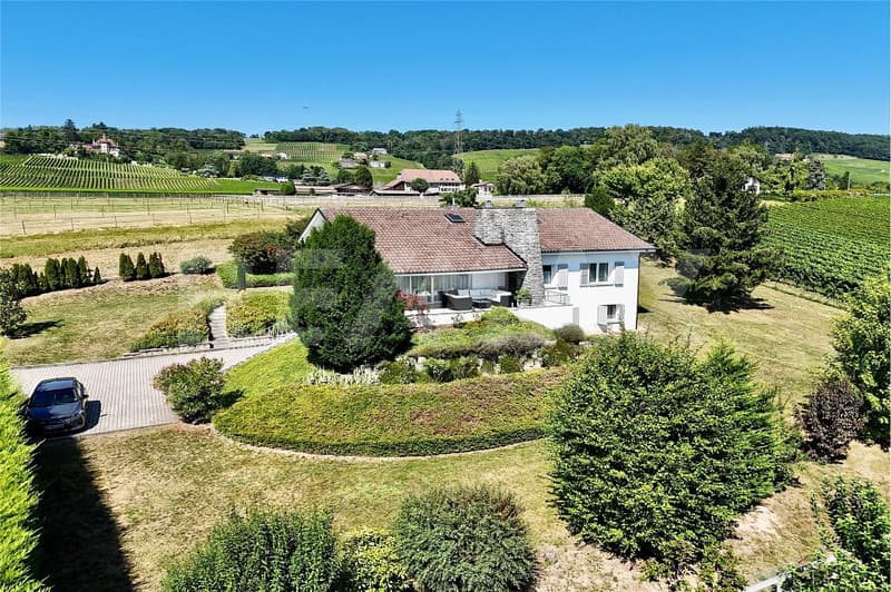Entre Genève et Lausanne: villa 7.5 pièces avec vue panoramique sur le Mont-Blanc