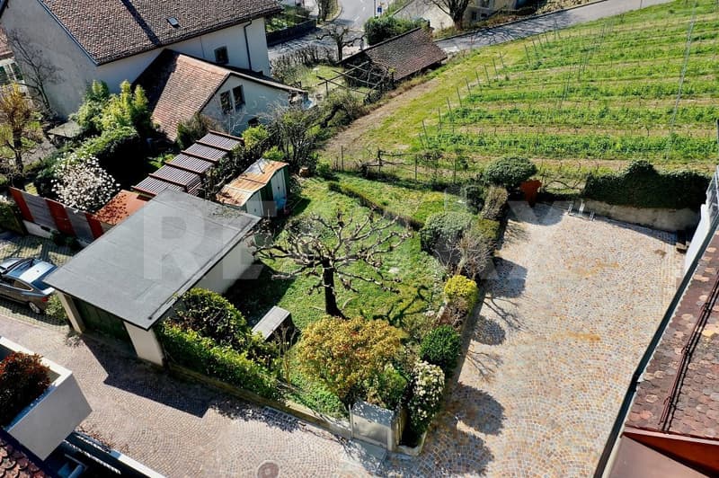 Maison de caractère entre vignes et lac, proche de Nyon (2)