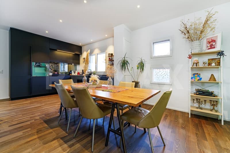 Magnifique appartement hors norme (6)
