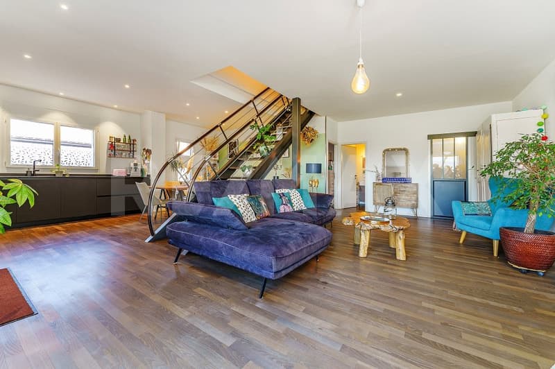 Magnifique appartement hors norme (3)