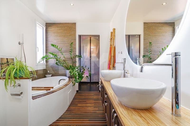 Magnifique appartement hors norme (12)