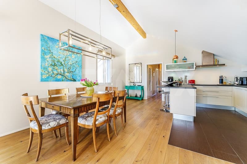 Charmant appartement 4,5 pièces dans quartier tranquille (3)