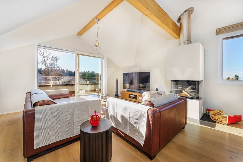 Charmant appartement 4,5 pièces dans quartier tranquille (5)