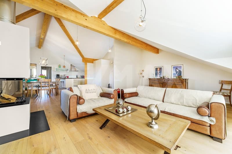 Charmant appartement 4,5 pièces dans quartier tranquille (1)