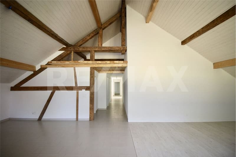 Appartement d'exception dans ferme rénovée avec jardin, à deux pas d'Estavayer-le-Lac (3)