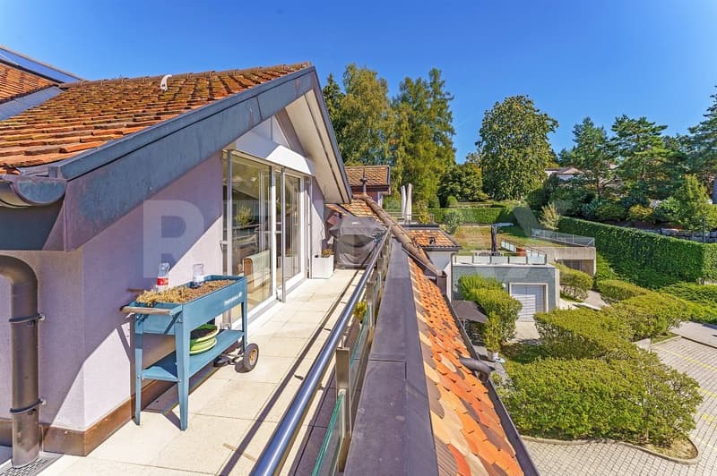 Dans PPE de standing, 4,5 pièces, vaste séjour, hauts plafonds, terrasse sud et jardin arboré (7)