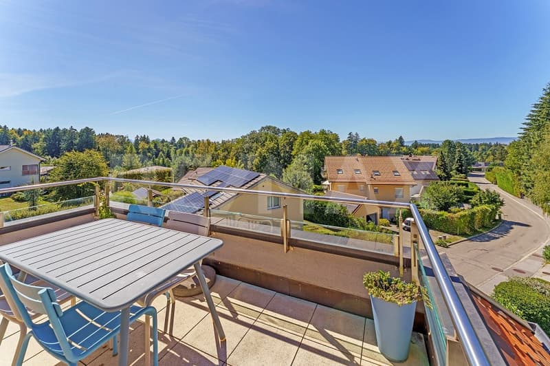 Dans PPE de standing, 4,5 pièces, vaste séjour, hauts plafonds, terrasse sud et jardin arboré (8)