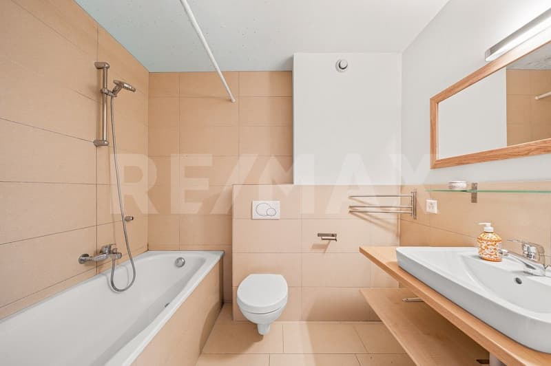 Maison villageoise de 207 m² habitables, 5,5 piècess (10)