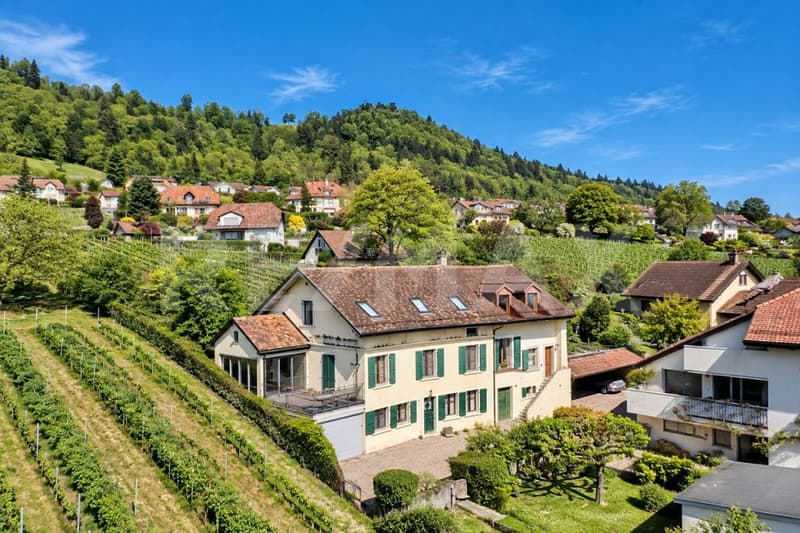 Maison villageoise de 160 m²: entre vigne et Lac Léman (2)