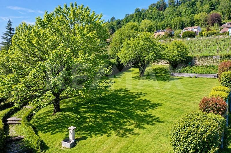 Maison villageoise de 160 m²: entre vigne et Lac Léman (7)