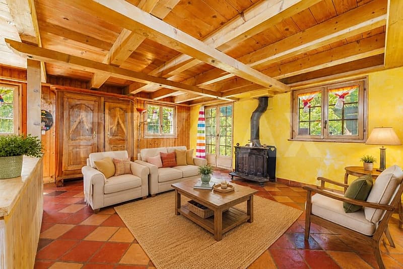 Petit paradis entre lac et nature : maison de 3 appartements (2)