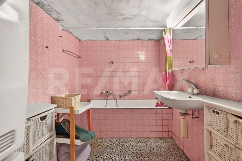 Une ferme, 8'482 m² de terrain et mille possibilités (7)