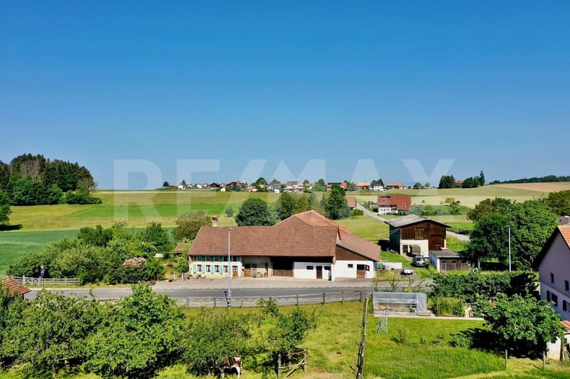 Une ferme, un domaine, mille projets (2)