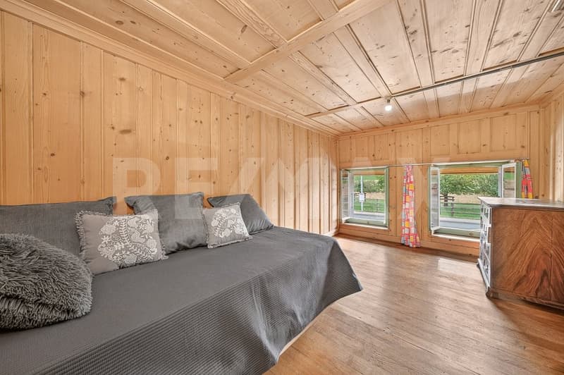 Une ferme, 8'482 m² de terrain et mille possibilités (11)
