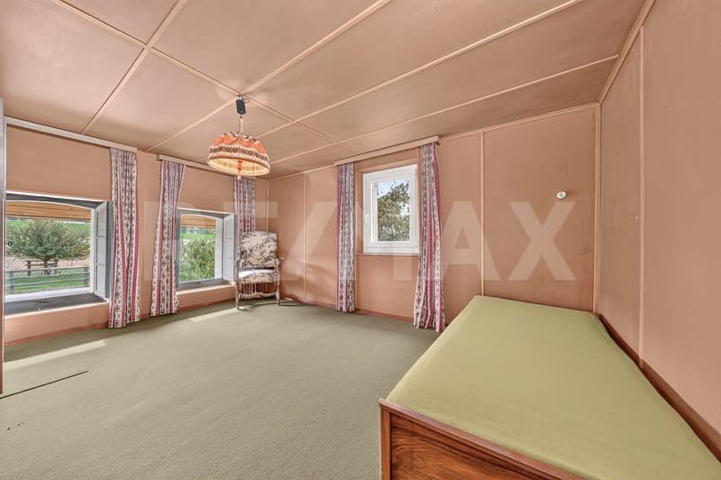 Une ferme, 8'482 m² de terrain et mille possibilités (12)